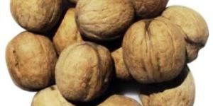 Kashmiri Walnuts