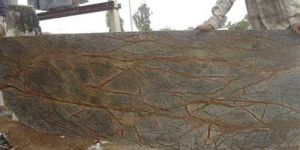 Rainforest Antique Green Marble Stone