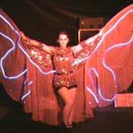 Laser Show Organiser