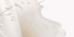 Orestes Dairy Whitener