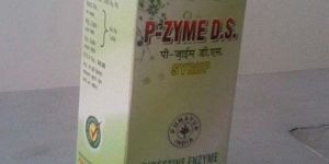 P-Zyme Syrup
