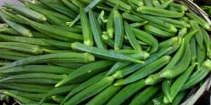 Fresh Okra (Lady Finger)