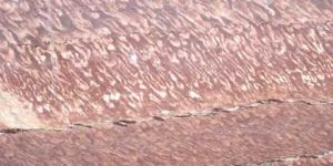 Wonder Rose  Marbles