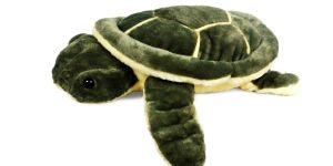SOFT TOY TURTLE