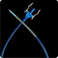 U-Flex Ureteral Access Sheath