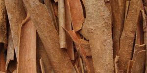 Cinnamon