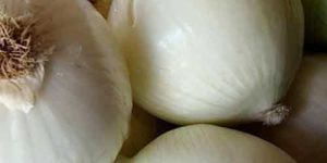 White Onion