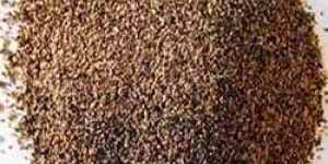 Black Pepper Powder
