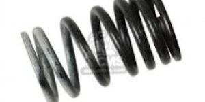 Valve Springs