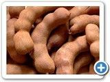 Tamarind