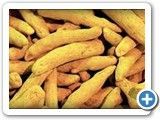 Turmeric