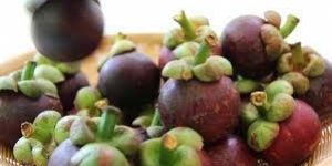 Exotic Mangosteen