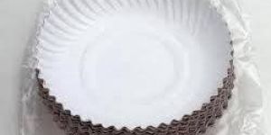 Disposable Paper Dish