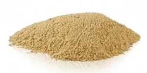 Amchoor Powder