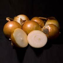 Fresh Yellow Onion