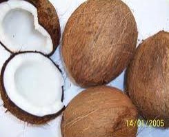 Coconut