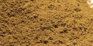 Ajwain Powder
