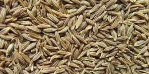 Cumin Seeds