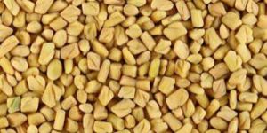 Fenugreek Seeds