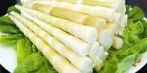 Bamboo Shoots