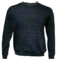 Mens Sweatshirt