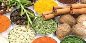 Indian Spices