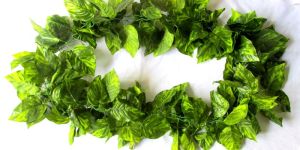 Artificial Hangings and Creepers