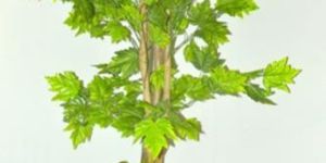Artificial Maple Tree