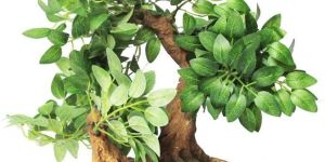 Artificial Bonsai Tree