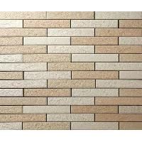Designer Ceramic Wall Tiles