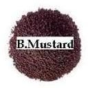 Black Mustard Seeds