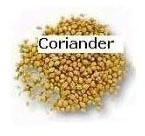 Coriander Seeds