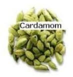 Green Cardamom