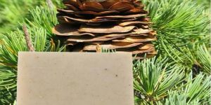 Himalayan Cedar Soap