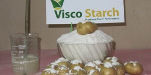 Pregelatinized Starch - Potato