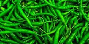 Fresh Green Chilli
