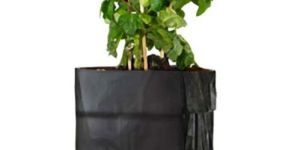 Plant Grow Bags