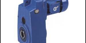 Hollow Shaft Gear Motor