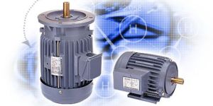 Inverter Duty Motor