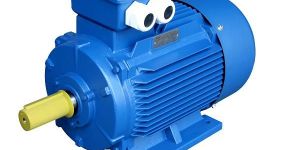 Three Phase Induction Motor