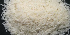 Ranbir 370 Basmati Rice