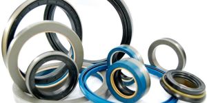 Oil Seal