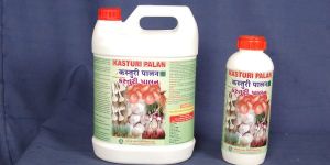 Plant Growth Promoter for Garlic and Onion