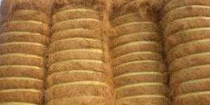 Coir Fibre