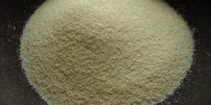 Semolina Flour