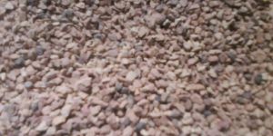 Fluidized Bed Boiler