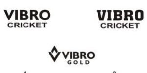 Custom Logo Design Services