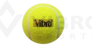 Vibro Pressure Less Cricket Ball