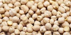 White Chickpeas
