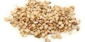 Sesame Seeds